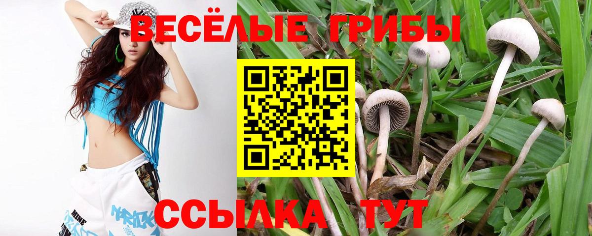 дарнет шоп  Вход с VPN  Троицк  Галлюциногенные грибы ЛСД 